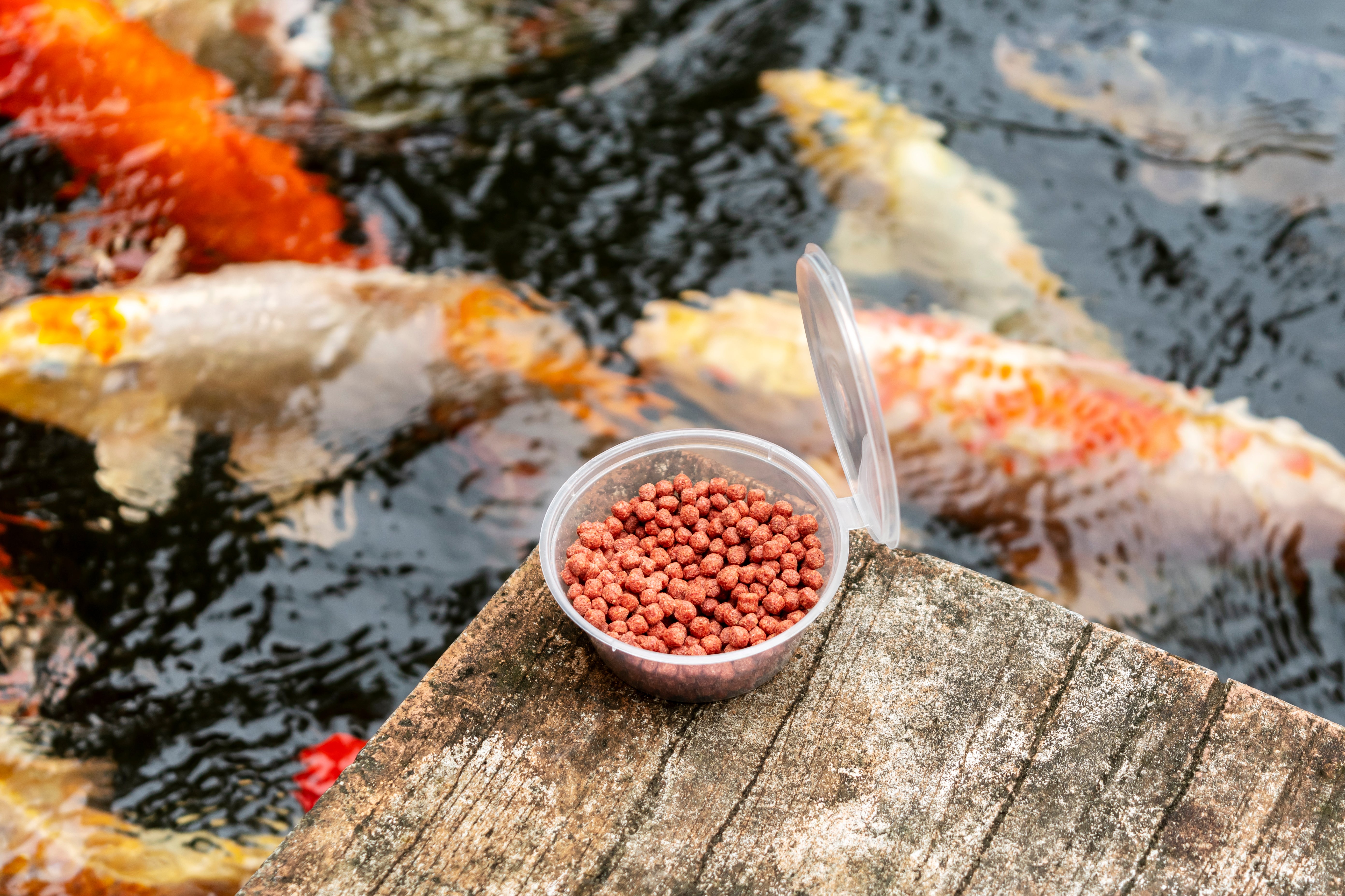 ALIMENTAZIONE