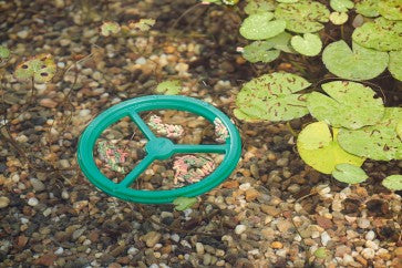 PondoFeed Ring