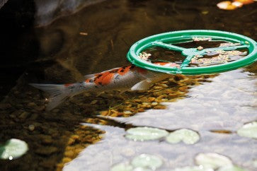 PondoFeed Ring