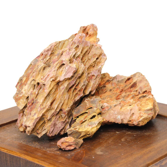 BAMBOO ROCK - choice