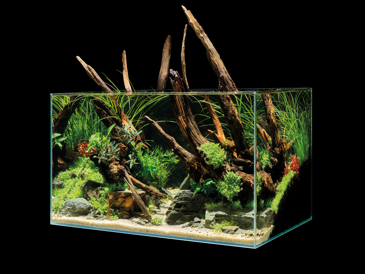 Oase - SCAPER LINE 60x35x35 (6mm)
