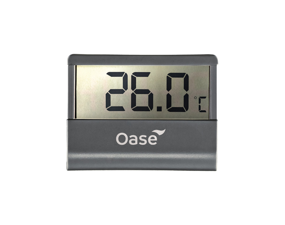 Oase - TERMOMETRO DIGITALE esterno senza cavi