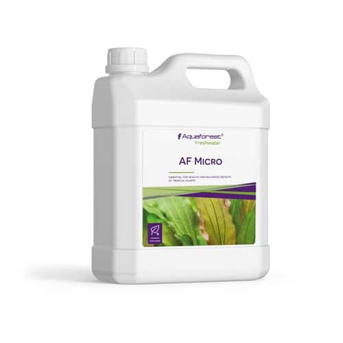 AF - Freshwater Life Essence