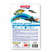 AMTRA FROST TROPICAL QUARTET BLISTER 100 gr 