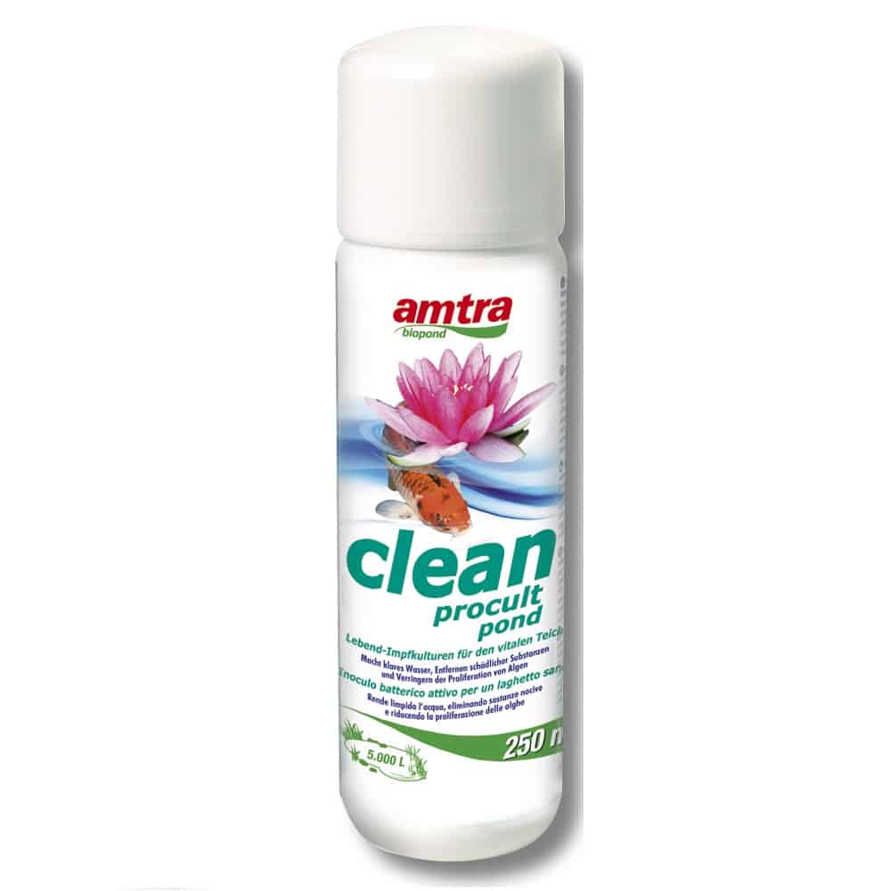 AMTRA CLEAN PROCULT TEICH