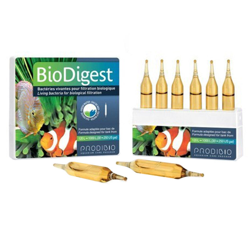 PRODIBIO - BioDigest 6 vials