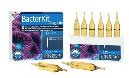 PRODIBIO - Bacter Kit Aragonite 6 ampoules