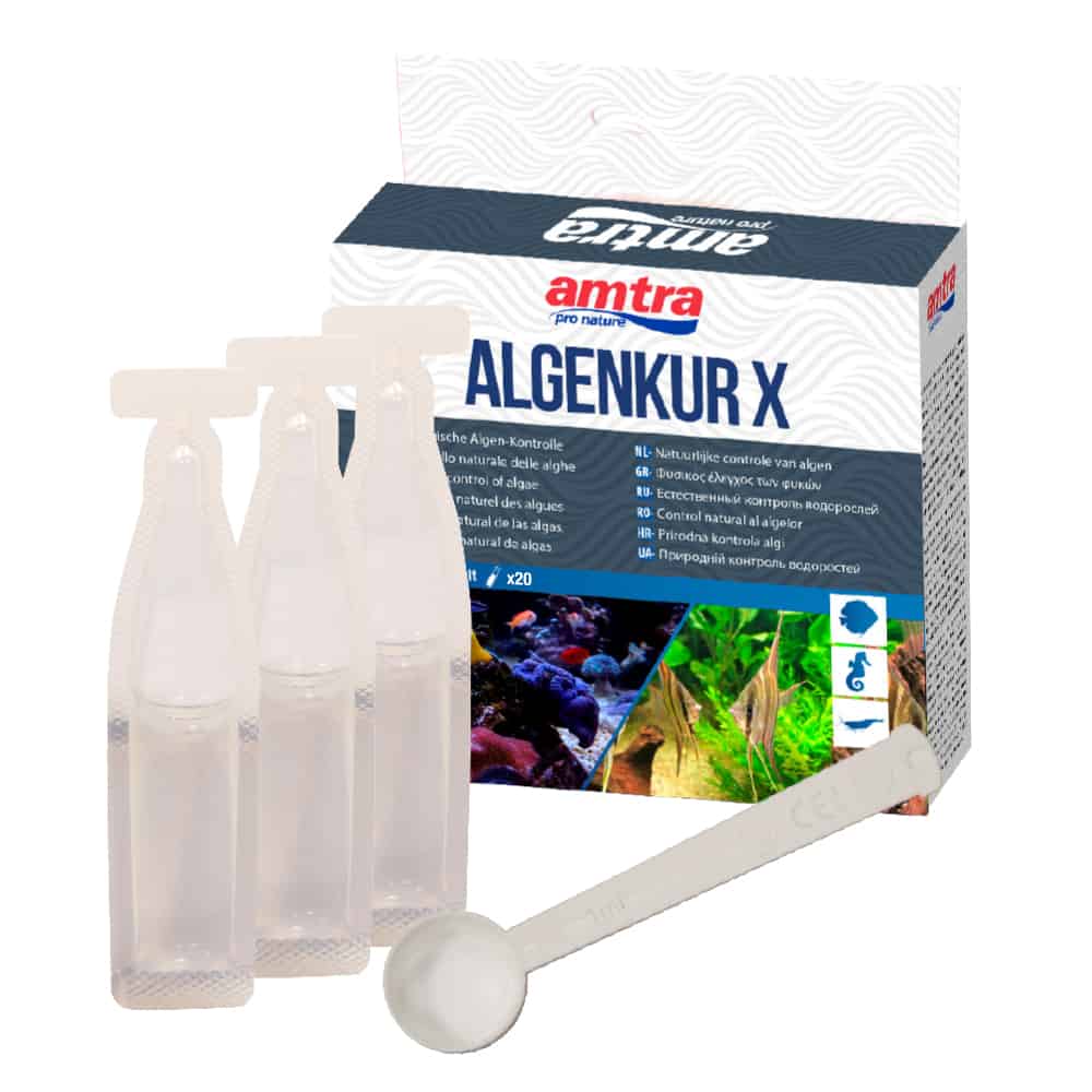 Amtra - ALGENKUR X - 20 fiale