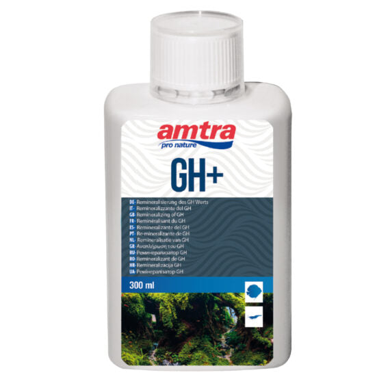 Amtra - GH +