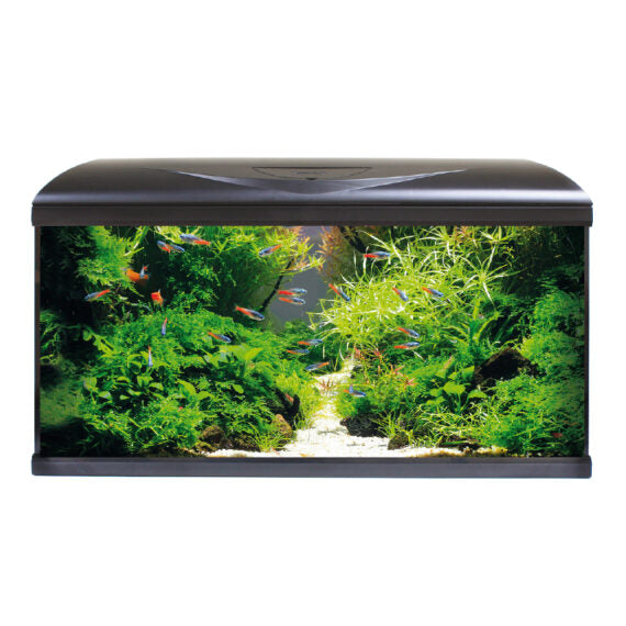 ACQUARIO COMPLETO SYSTEM 80