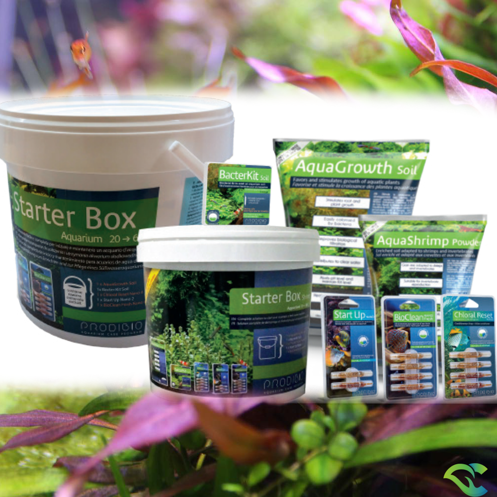 AQUASCAPING STARTER KIT - SOIL + clhoral reset +start up2 + Bioclean fresh4 + Bacterkit soil